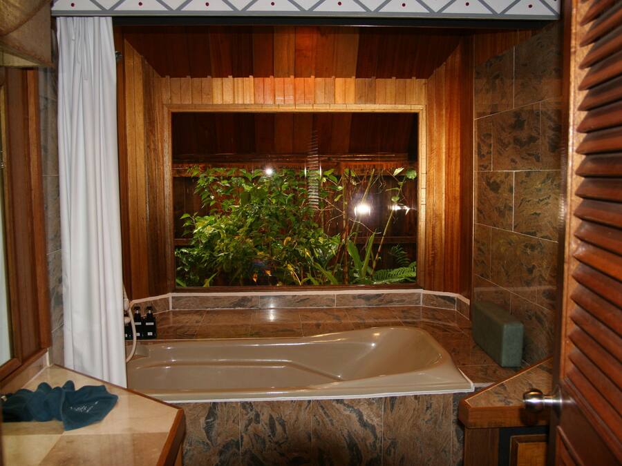 Un baño con bañera, paneles de madera y una ventana con plantas.