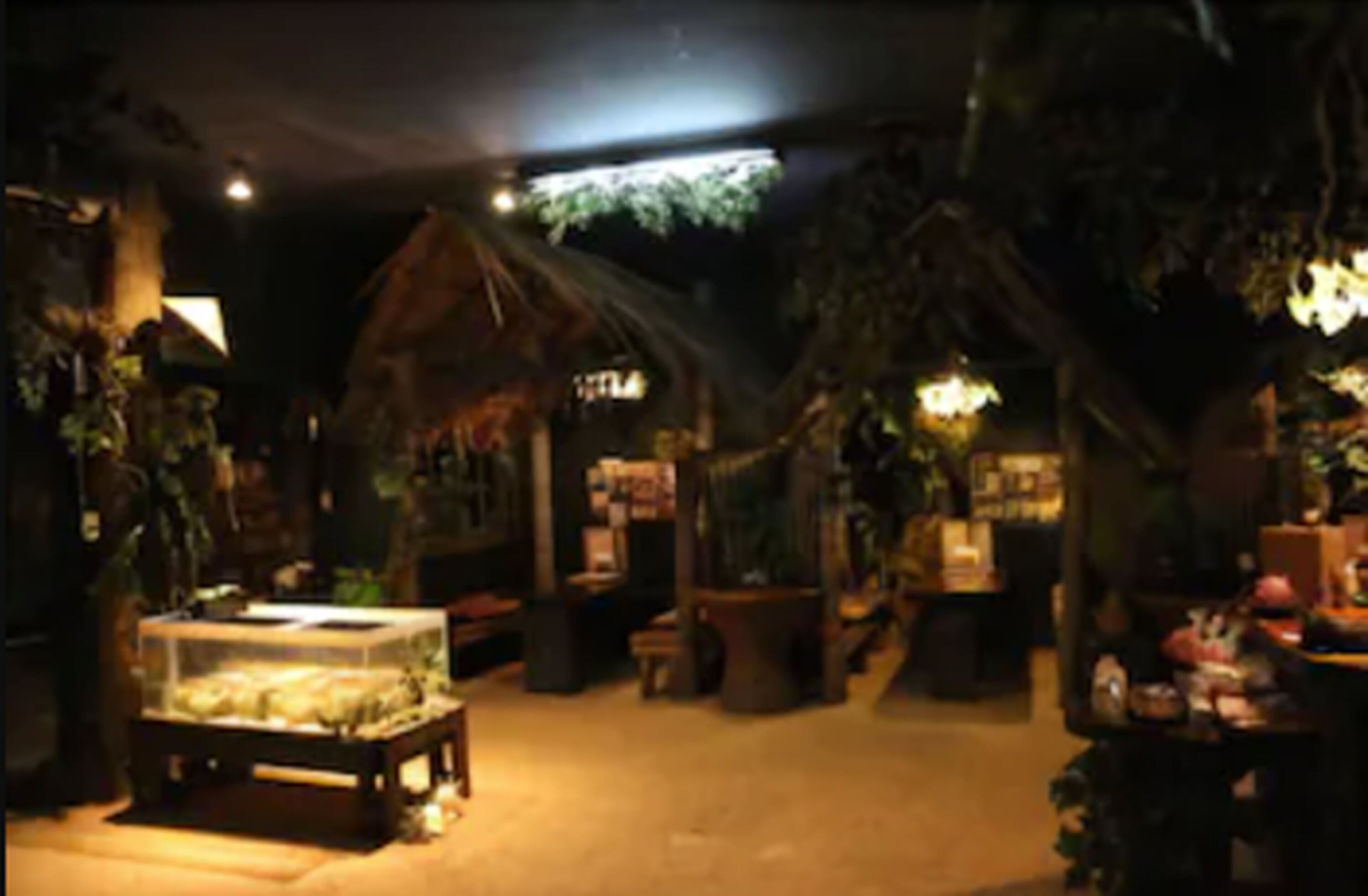 Una habitación tenuemente iluminada con una decoración rústica, que incluye una cabaña con techo de paja, plantas en macetas y una vitrina.
