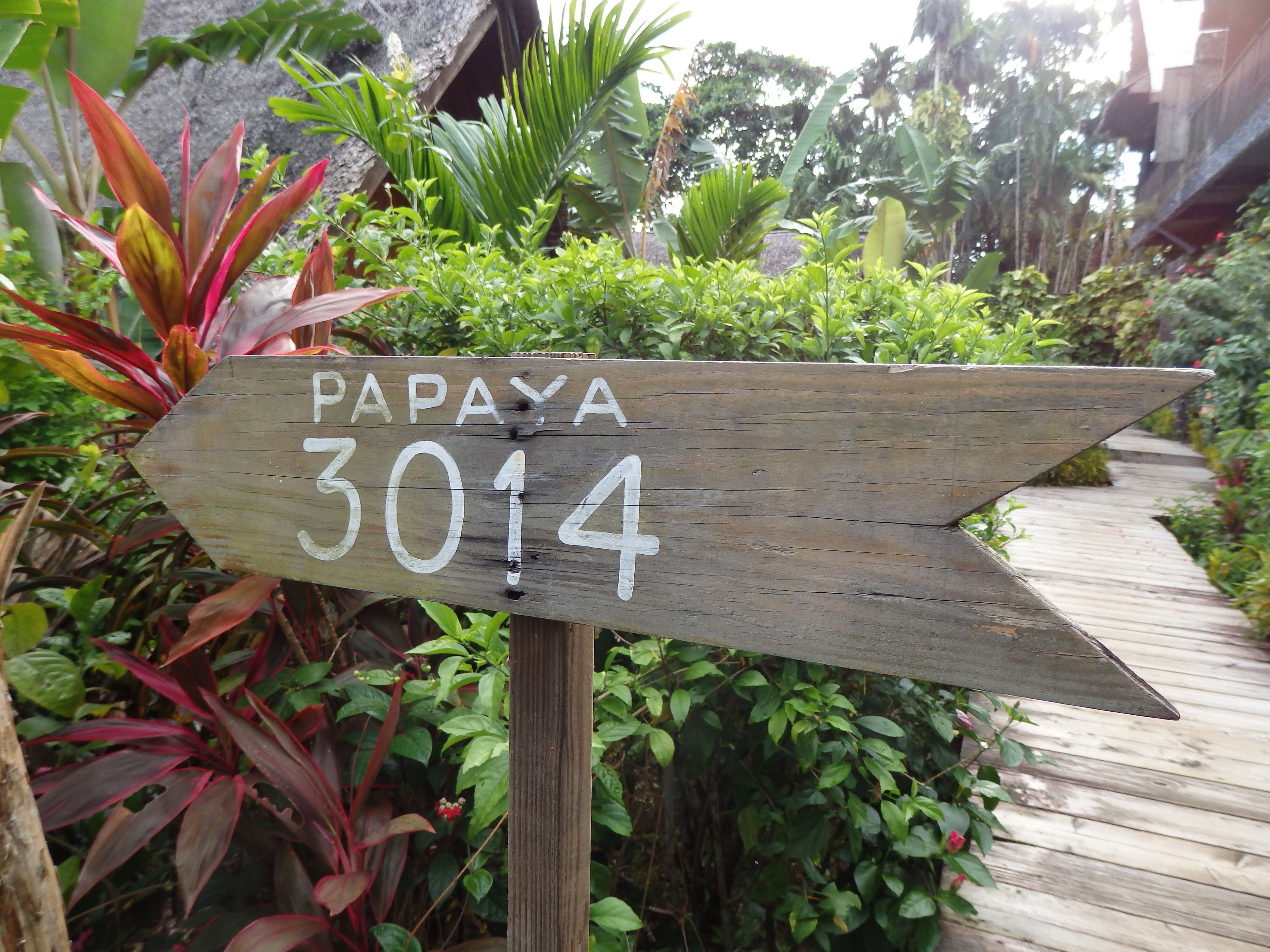 A wooden sign with the text "PAPAYA 3014" in a garden setting.