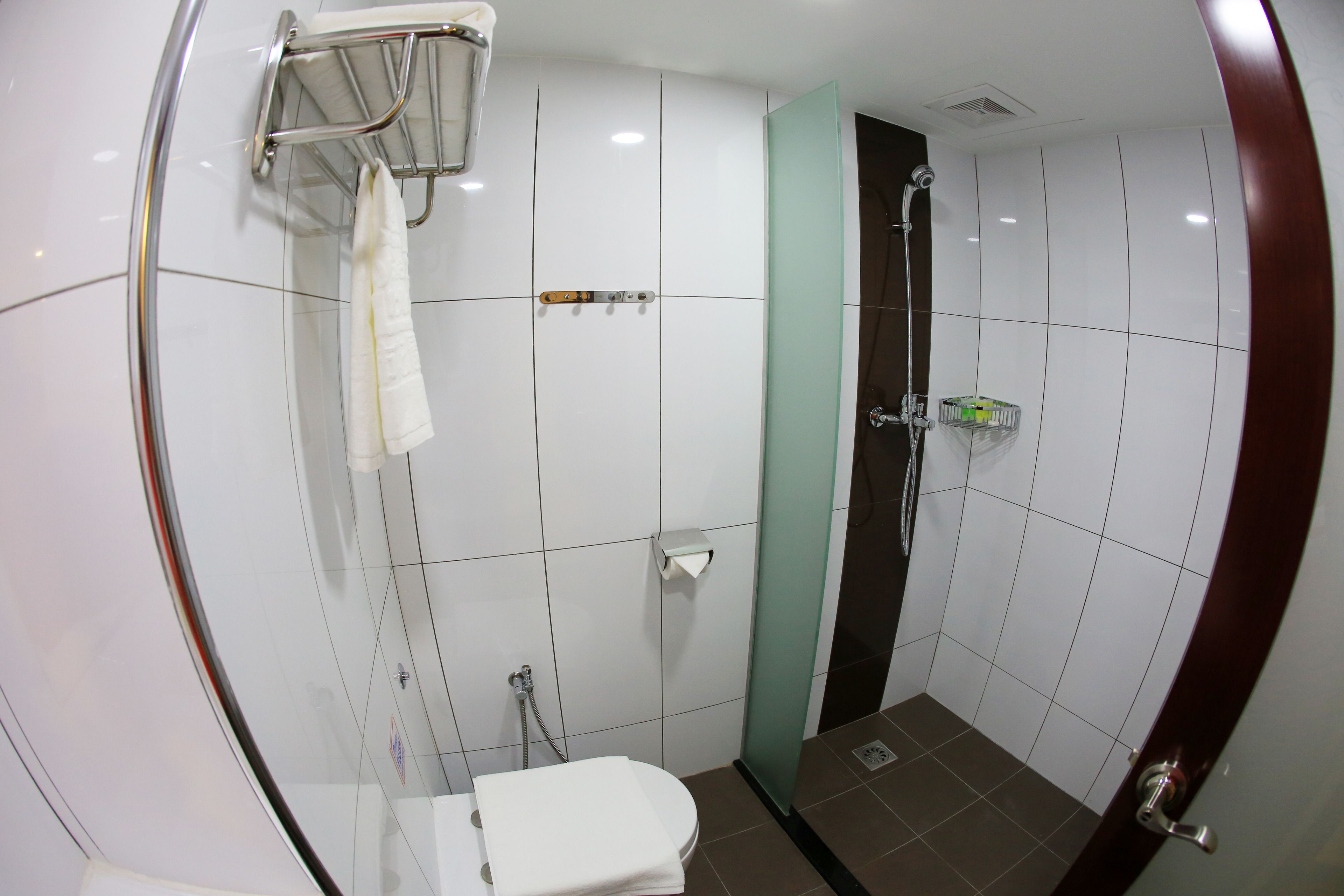 shower, free toiletries, hair dryer, slippers