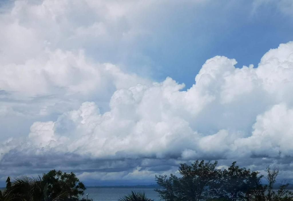 A coastal landscape with clouds and trees.