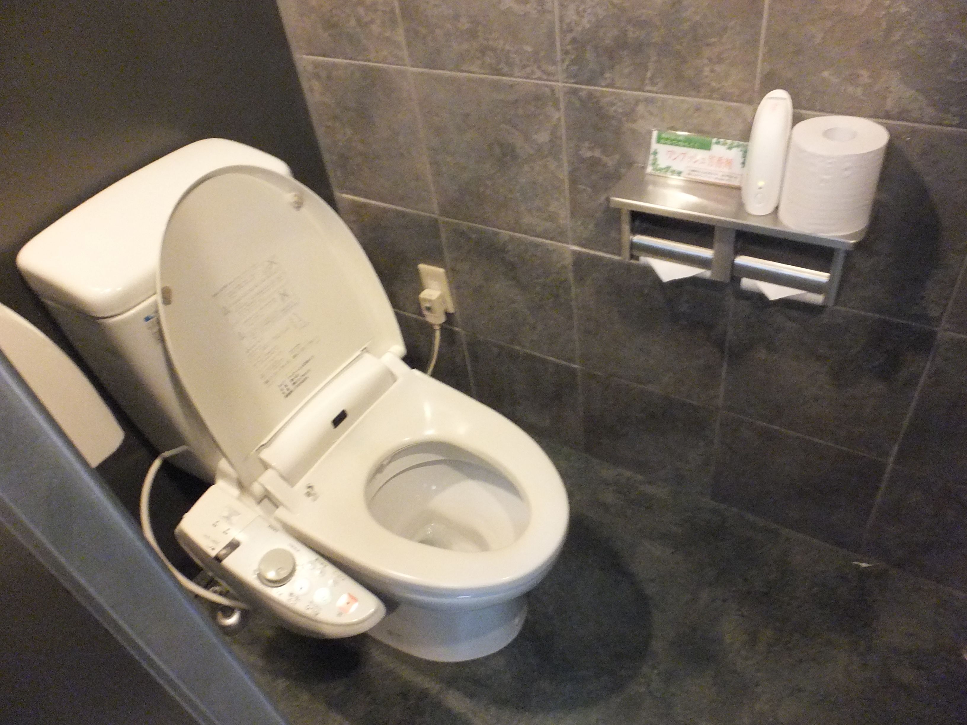 A modern toilet with a control panel, a toilet paper holder, and a hand dryer.
