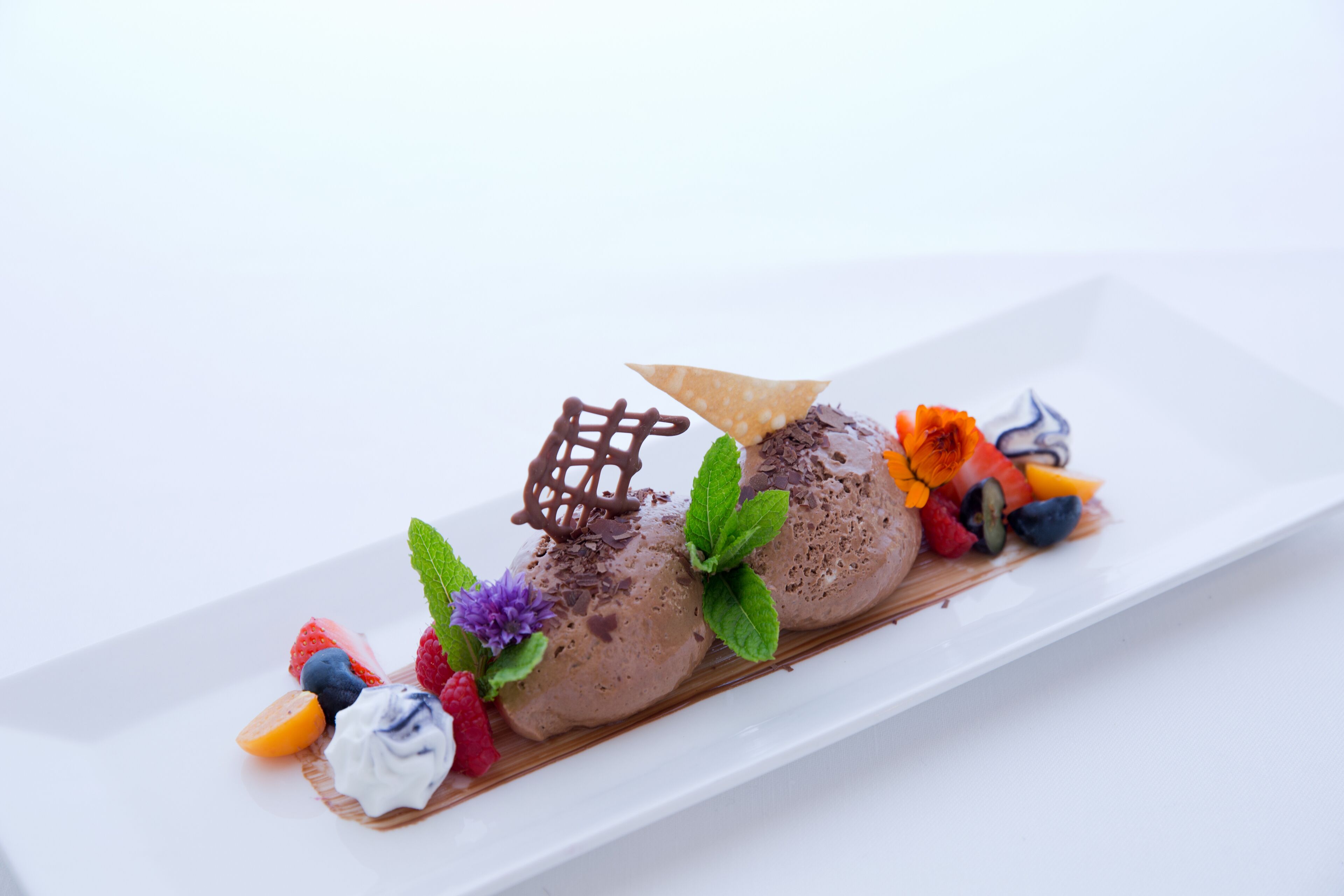 Ein Dessert mit Schokoladeneis und Obst als Garnitur auf einem weißen Teller.