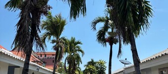 1715 House - White Rhino