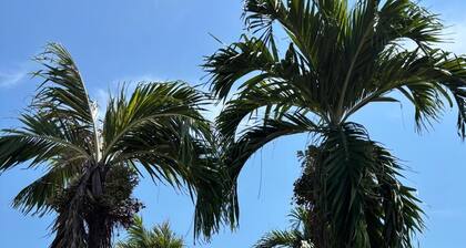 1715 House - White Rhino