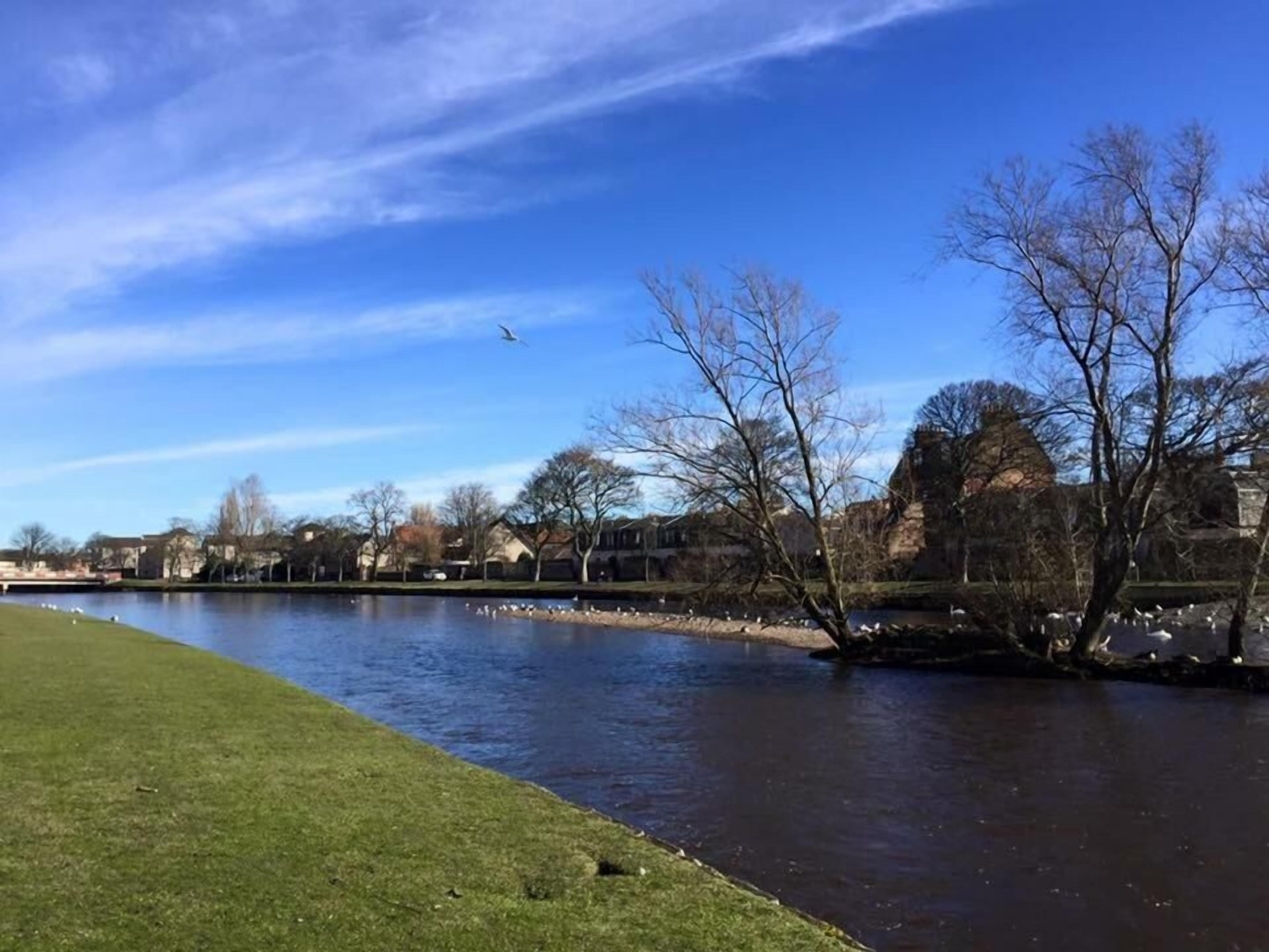 A river with a grassy bank, trees, and buildings in the background.