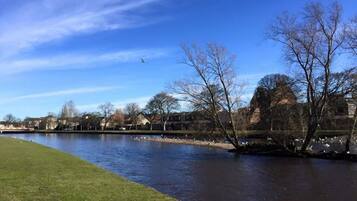 A river with a grassy bank, trees, and buildings in the background.