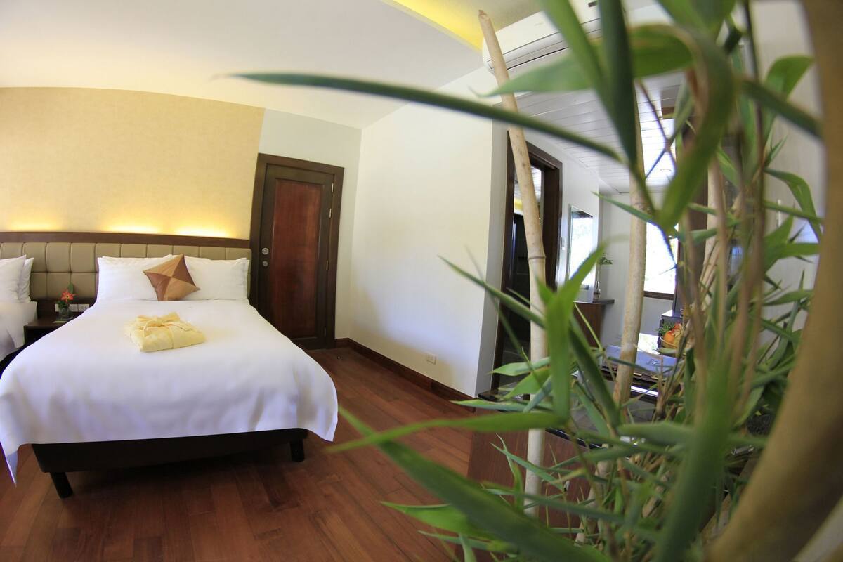 Premium bedding, down duvets, pillow-top beds, minibar