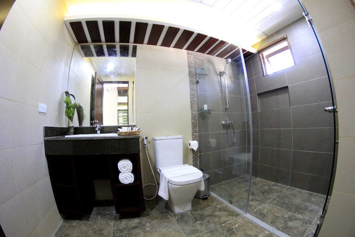 shower, free toiletries, hair dryer, bathrobes