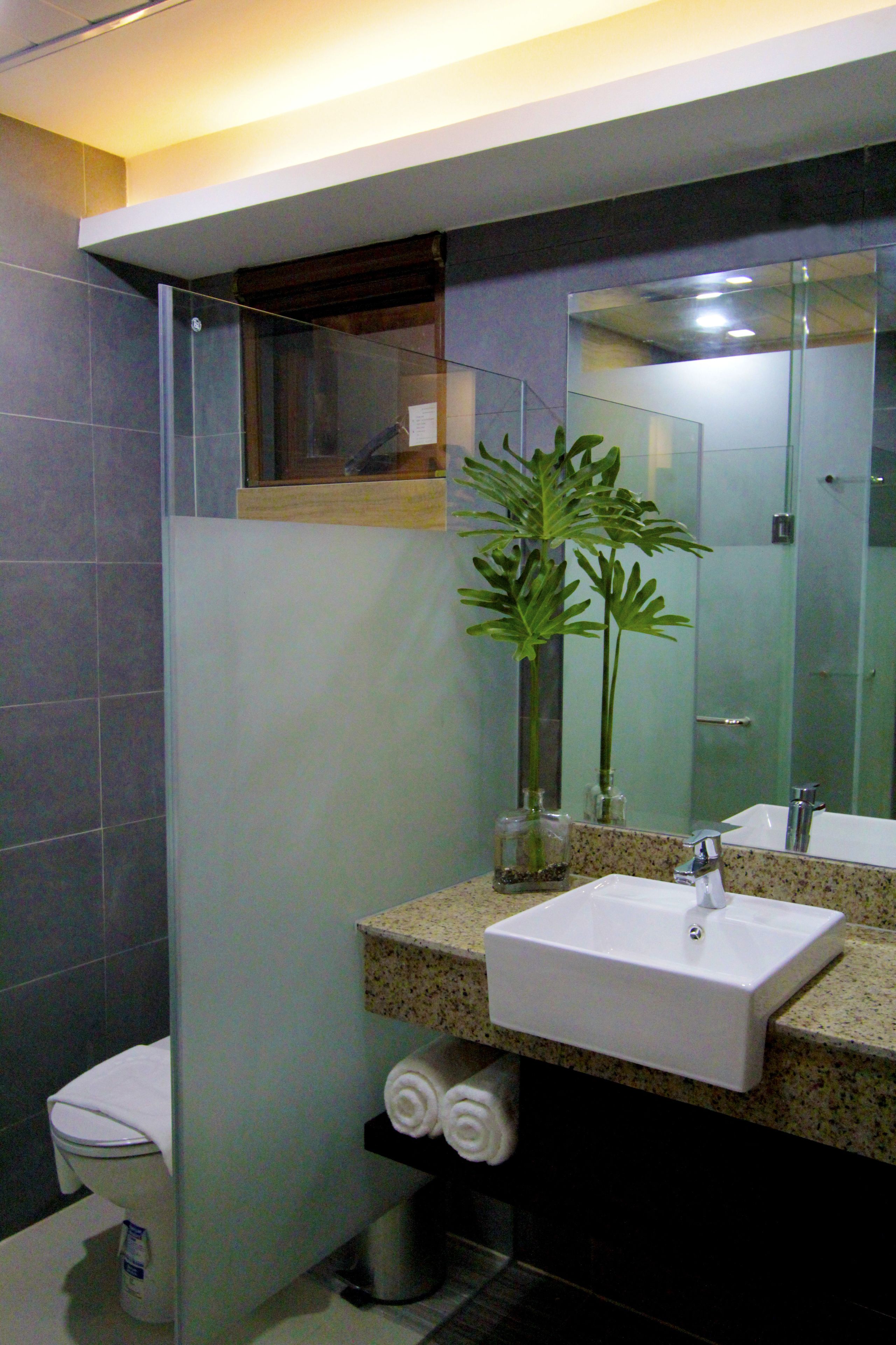 A modern bathroom with a glass shower enclosure, a sink with a mirror, and a potted plant.