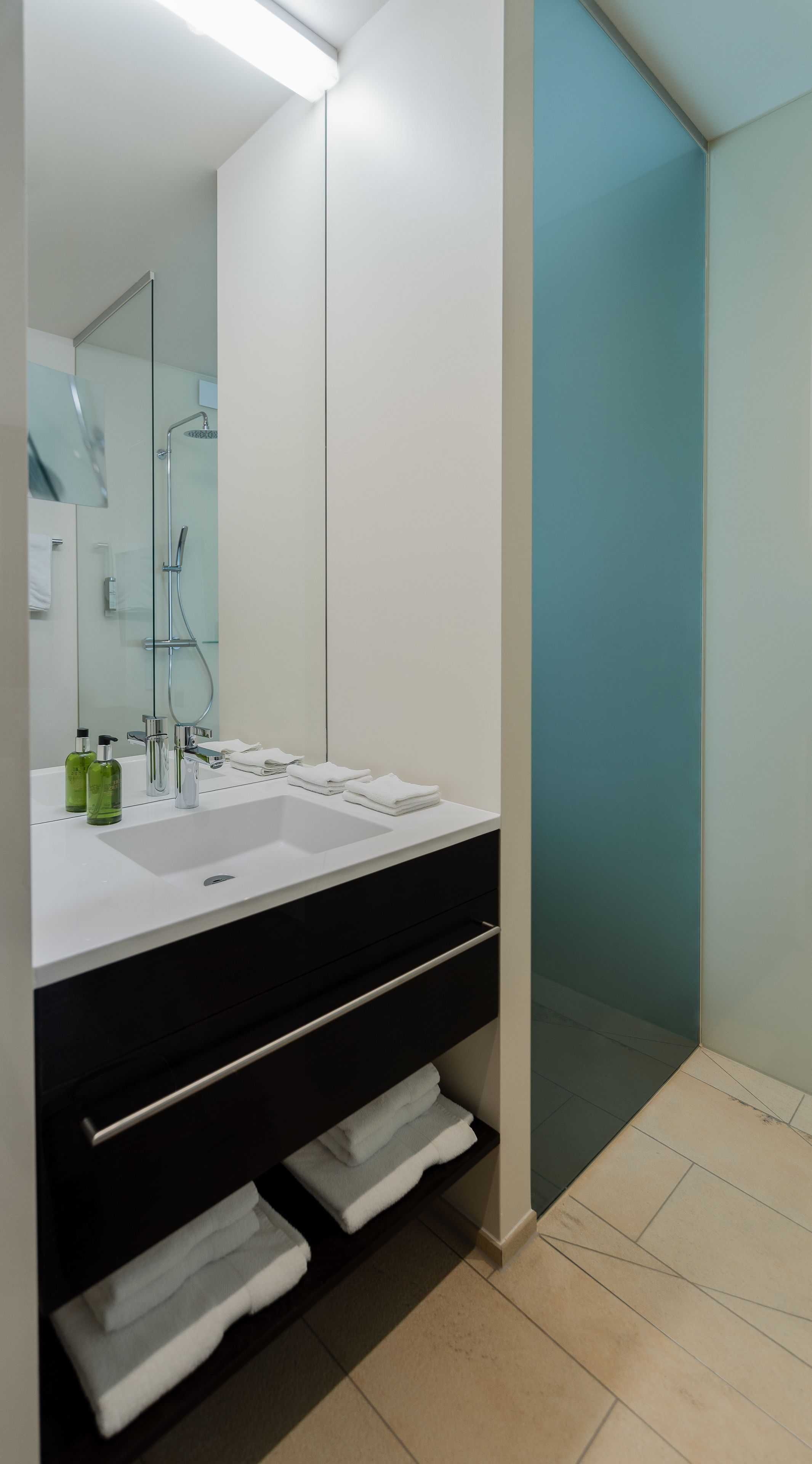 shower, rainfall showerhead, free toiletries, hair dryer