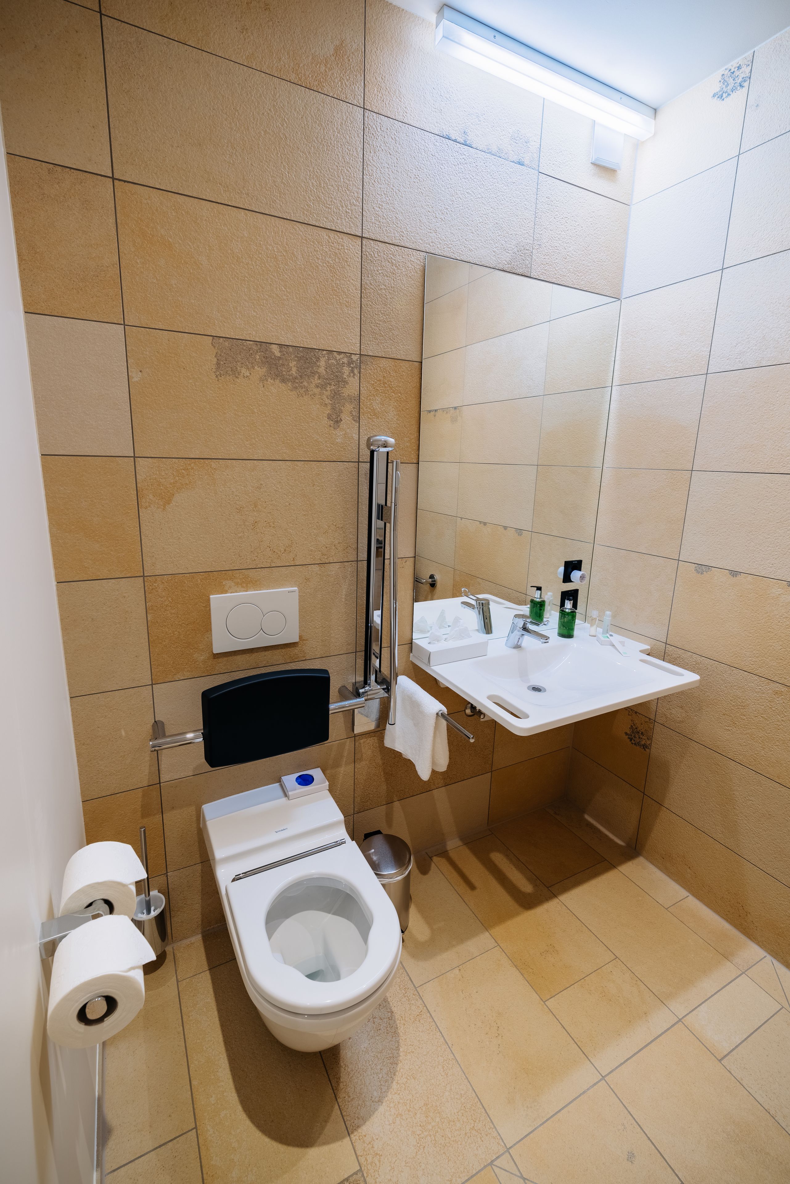 standard double room, accessible | bathroom | shower, rainfall showerhead, free toiletries, hair dryer