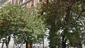 A building with a classical facade, large windows, and a tree-lined street. - Residenza Vatican Suite (Rome)