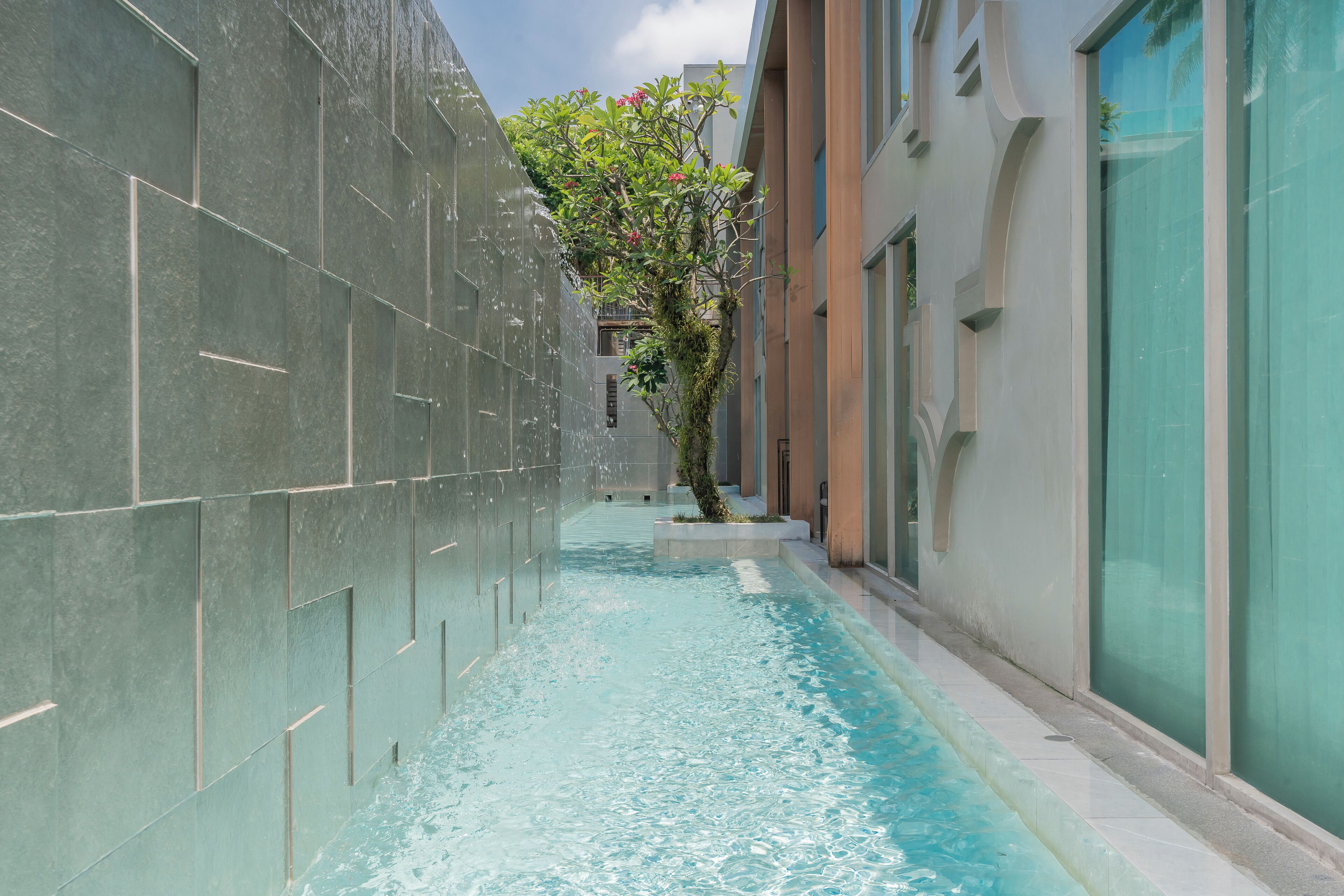 A narrow pool area with tiled walls, a clear water surface, and a plant in the center.