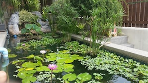 A pond with water lilies and various plants, surrounded by rocks and a wooden fence.