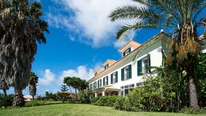 Um edifício grande, com vários andares, fachada branca e persianas verdes, cercado por vegetação exuberante e palmeiras.