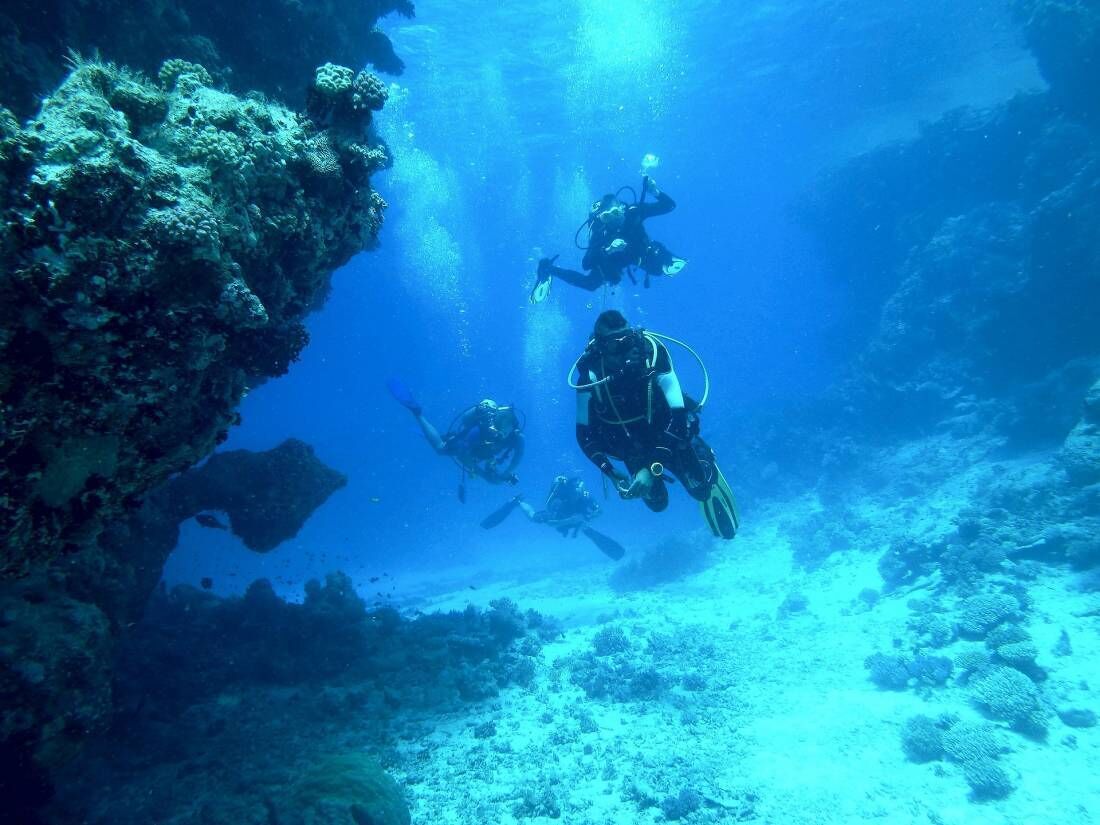 Escena submarina con buzos explorando un arrecife de coral.
