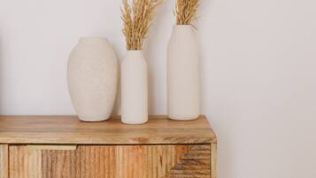 Televisor LED, Netflix, altaveus intel·ligents i serveis de streaming