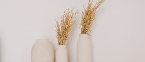 50-inch LED TV with premium channels, Netflix, smart speakers