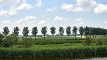 Un paisaje sereno con una hilera de árboles a lo largo de una masa de agua, bajo un cielo despejado.