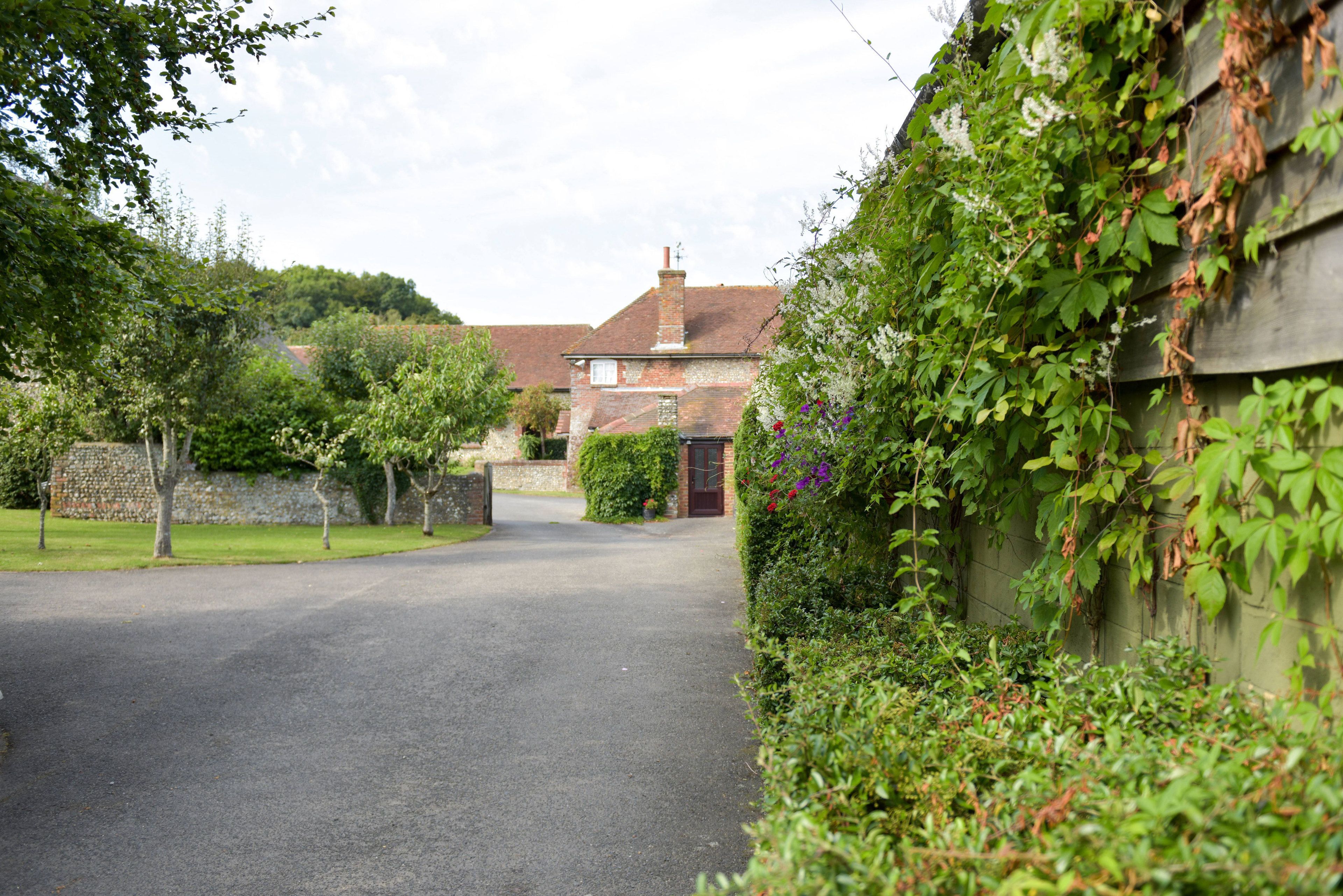 A narrow driveway leading to a brick house with a chimney, surrounded by lush greenery and a stone wall.