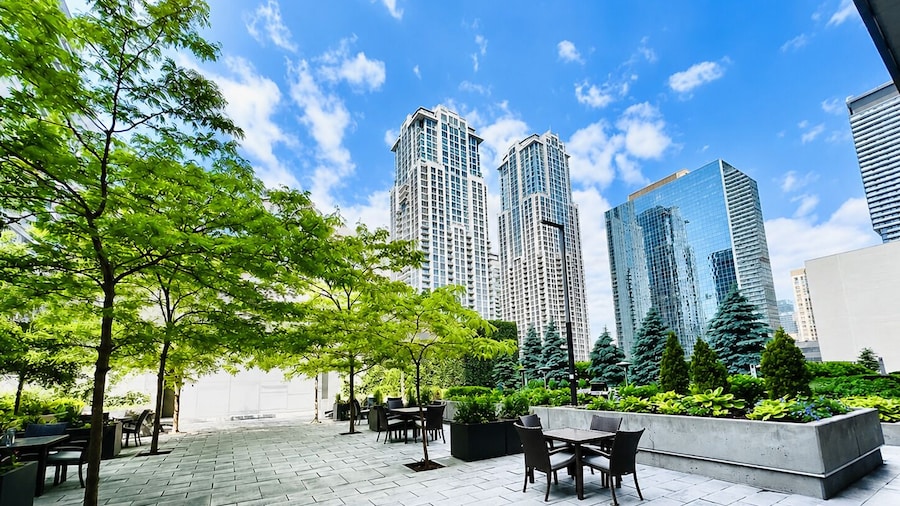 Altitude Suites on Yonge