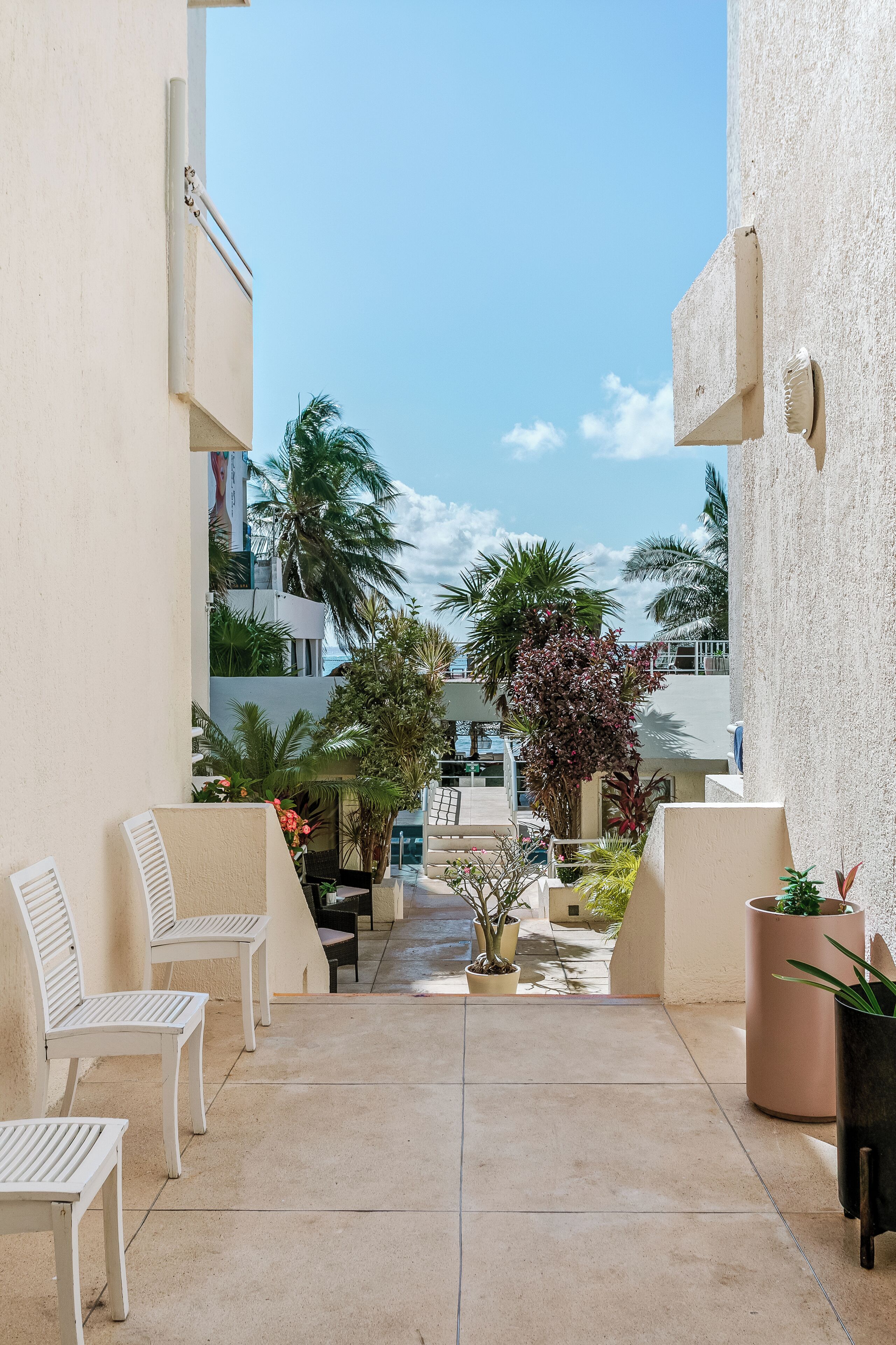 A courtyard with white chairs, potted plants, and a view of palm trees and buildings.