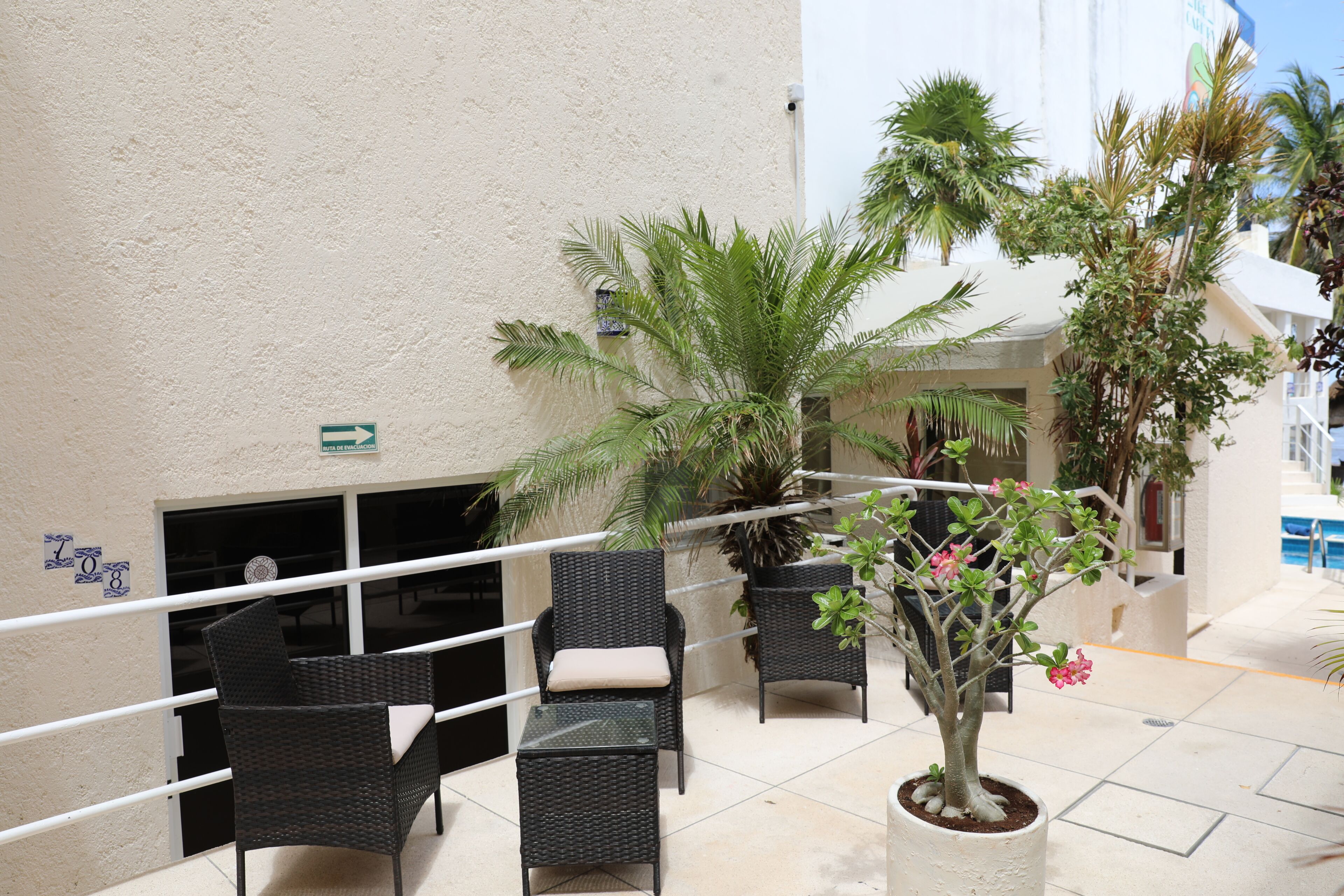 An outdoor seating area with wicker chairs and a table, surrounded by potted plants and a palm tree.