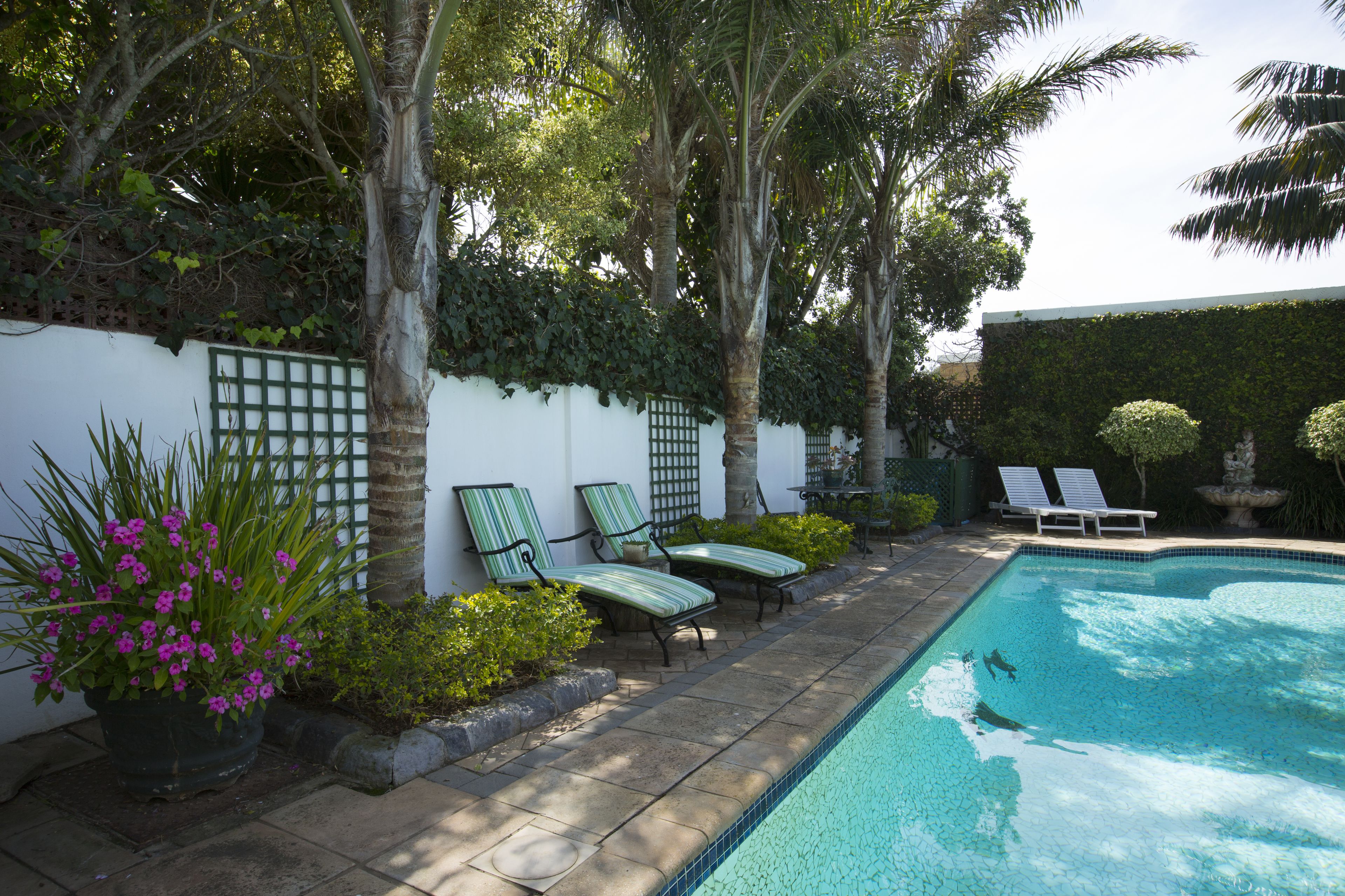 A swimming pool with two lounge chairs and a potted plant.