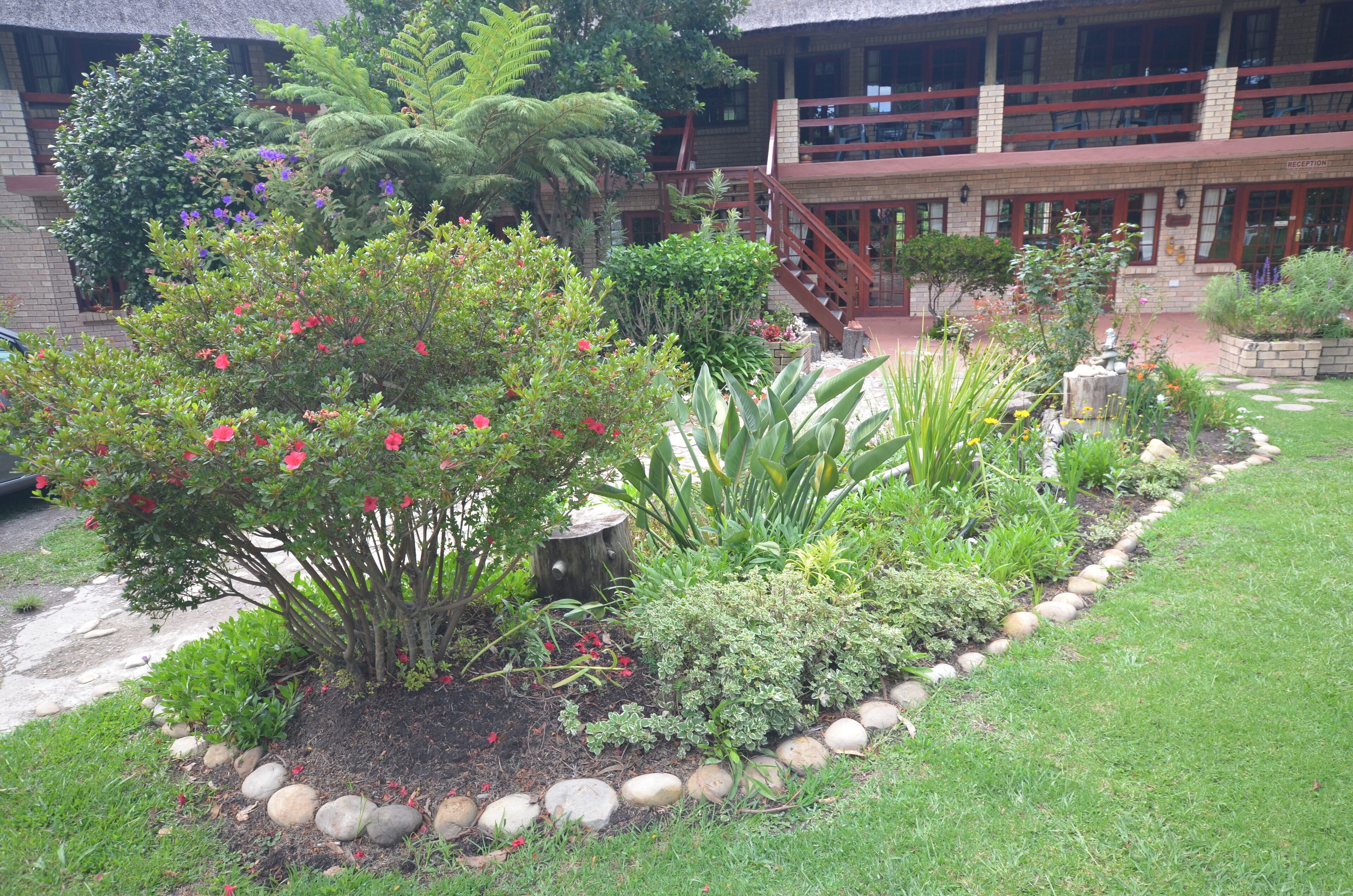Un jardín ajardinado con diversas plantas y una terraza de madera.