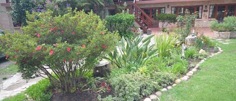 A landscaped garden with various plants and a wooden deck.