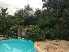 A swimming pool surrounded by lush greenery and a wooden fence.