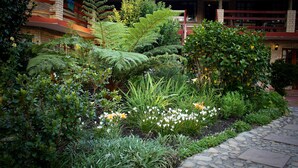 Un jardín con diversas plantas y flores, un sendero de piedra y un edificio con fachada de ladrillo y detalles en rojo.