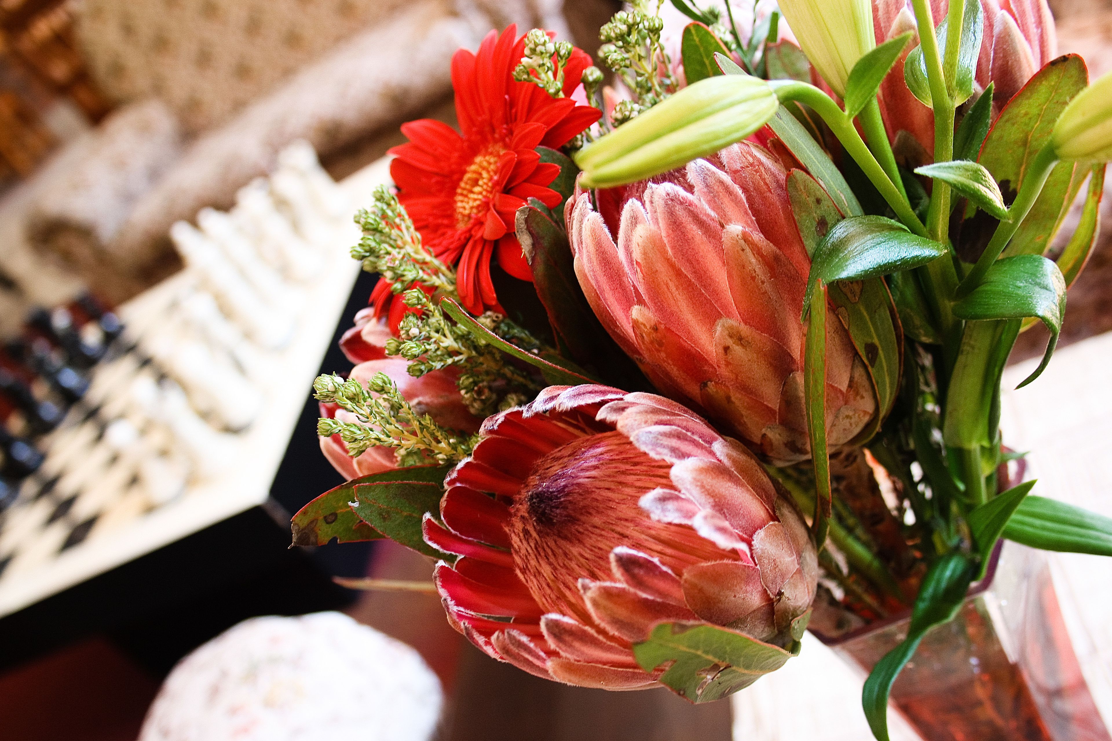 A bouquet of flowers including red gerbera daisies and red tulips in a vase.
