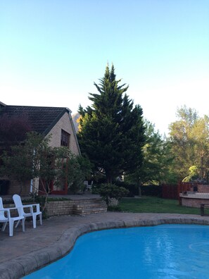 A backyard with a swimming pool, a brick house, and a large evergreen tree. - Storms River Guest Lodge (Storms River)