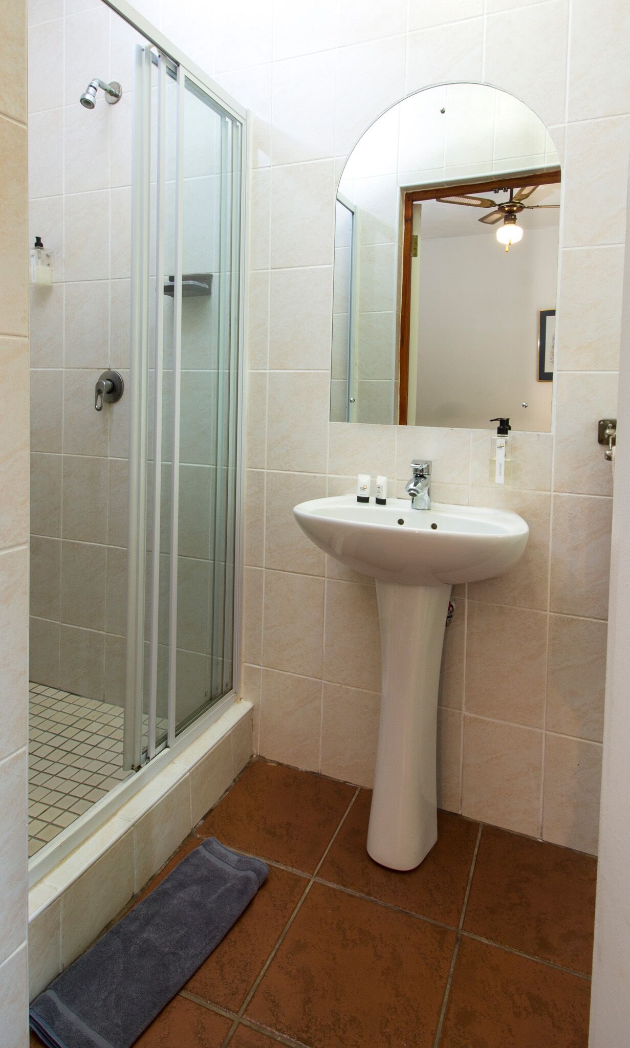 Une salle de bain avec une douche à parois de verre, un lavabo sur colonne et un miroir au-dessus du lavabo.