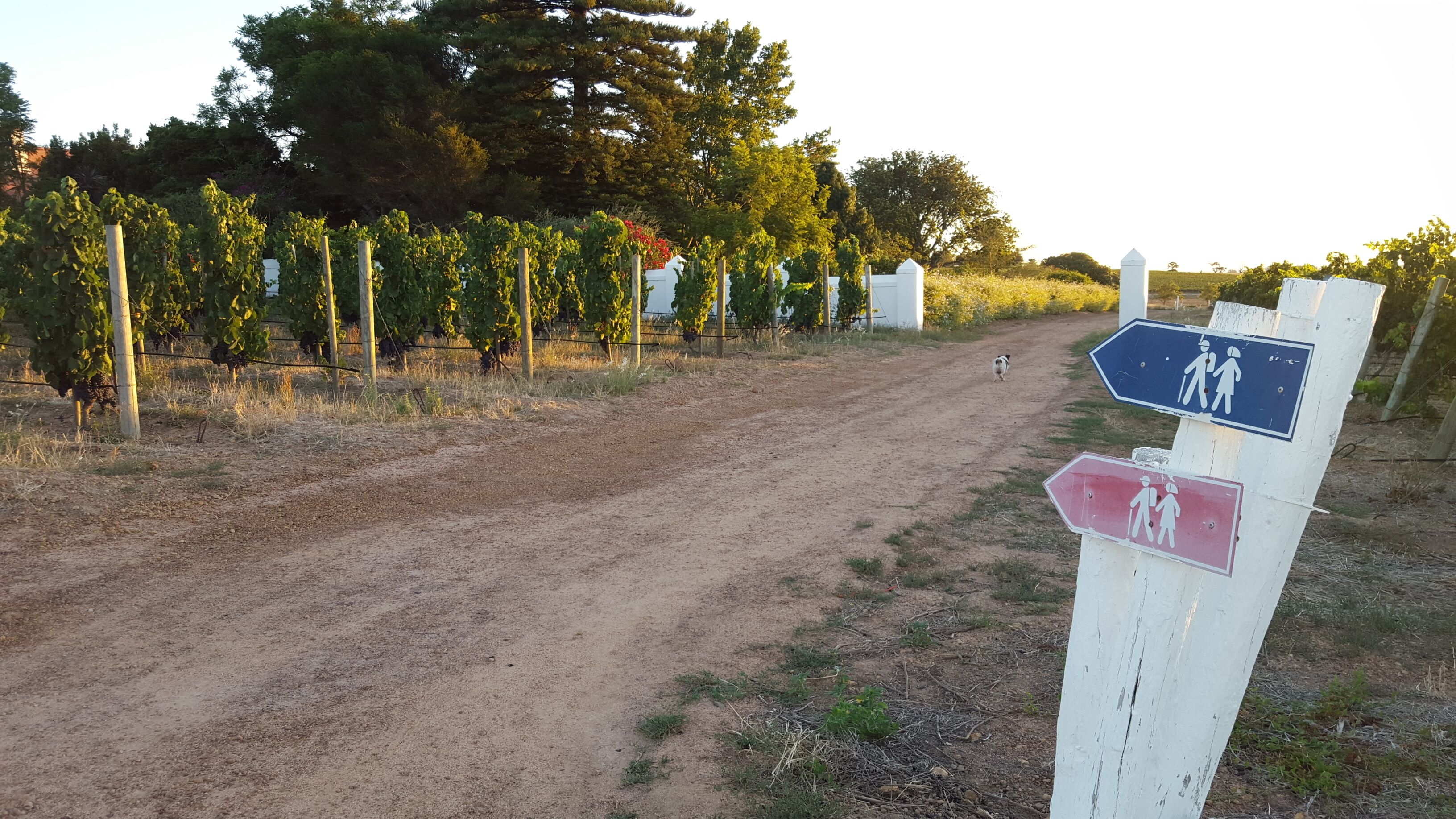 Foto - Eikendal Lodge