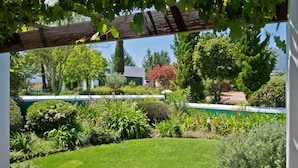 Un jardin avec une variété de plantes et une petite piscine.