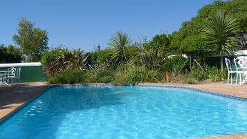A rectangular swimming pool with clear blue water, surrounded by greenery and a brick border.
