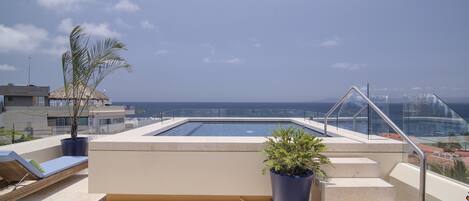 Terraza en la azotea con piscina, sillas de descanso y plantas en macetas.