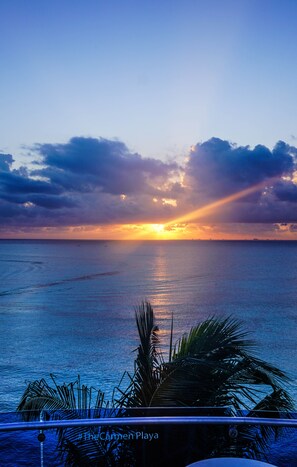 Ein Sonnenuntergang über dem Meer mit Blick auf den Horizont und Palmen im Vordergrund.