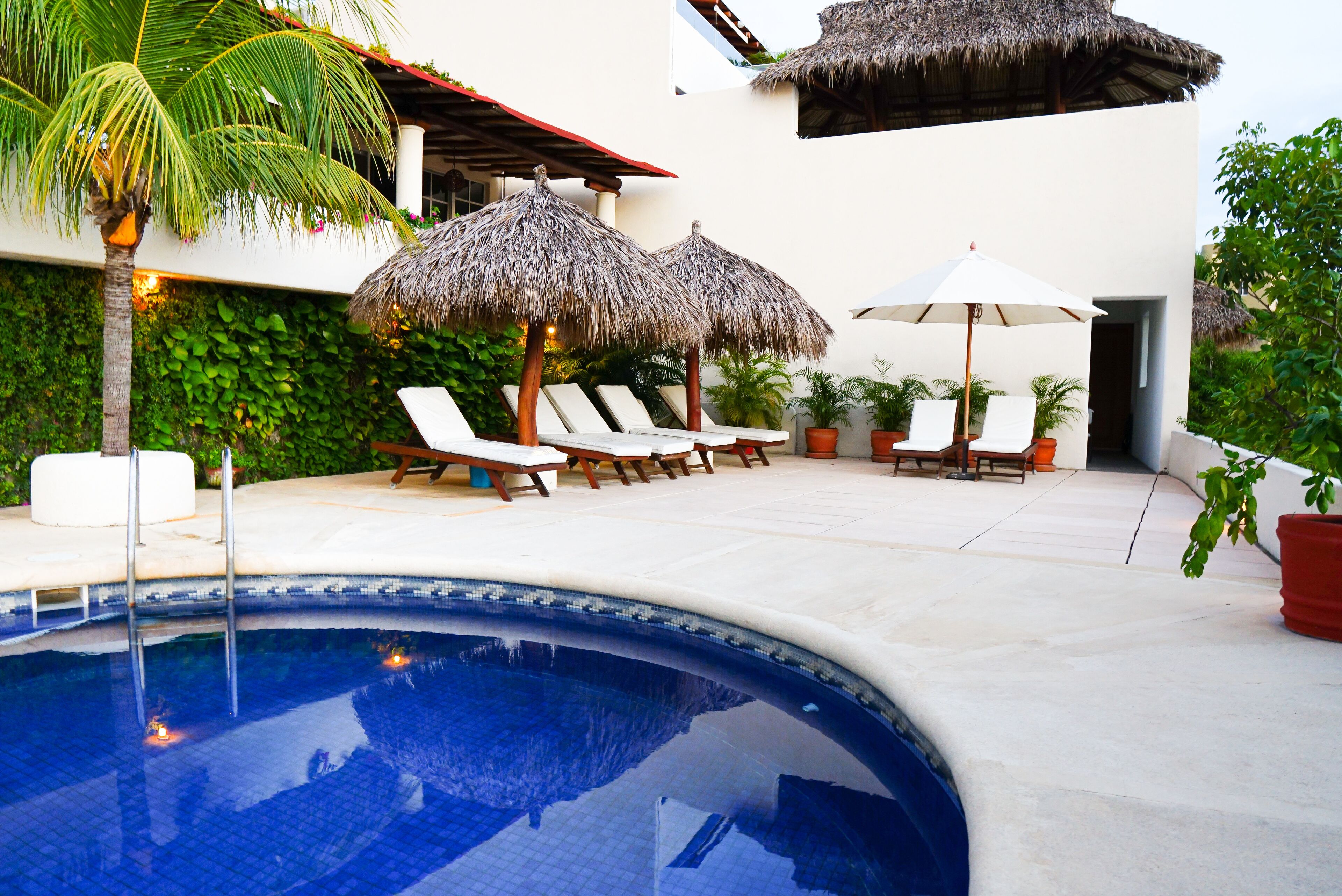 Outdoor pool, sun loungers