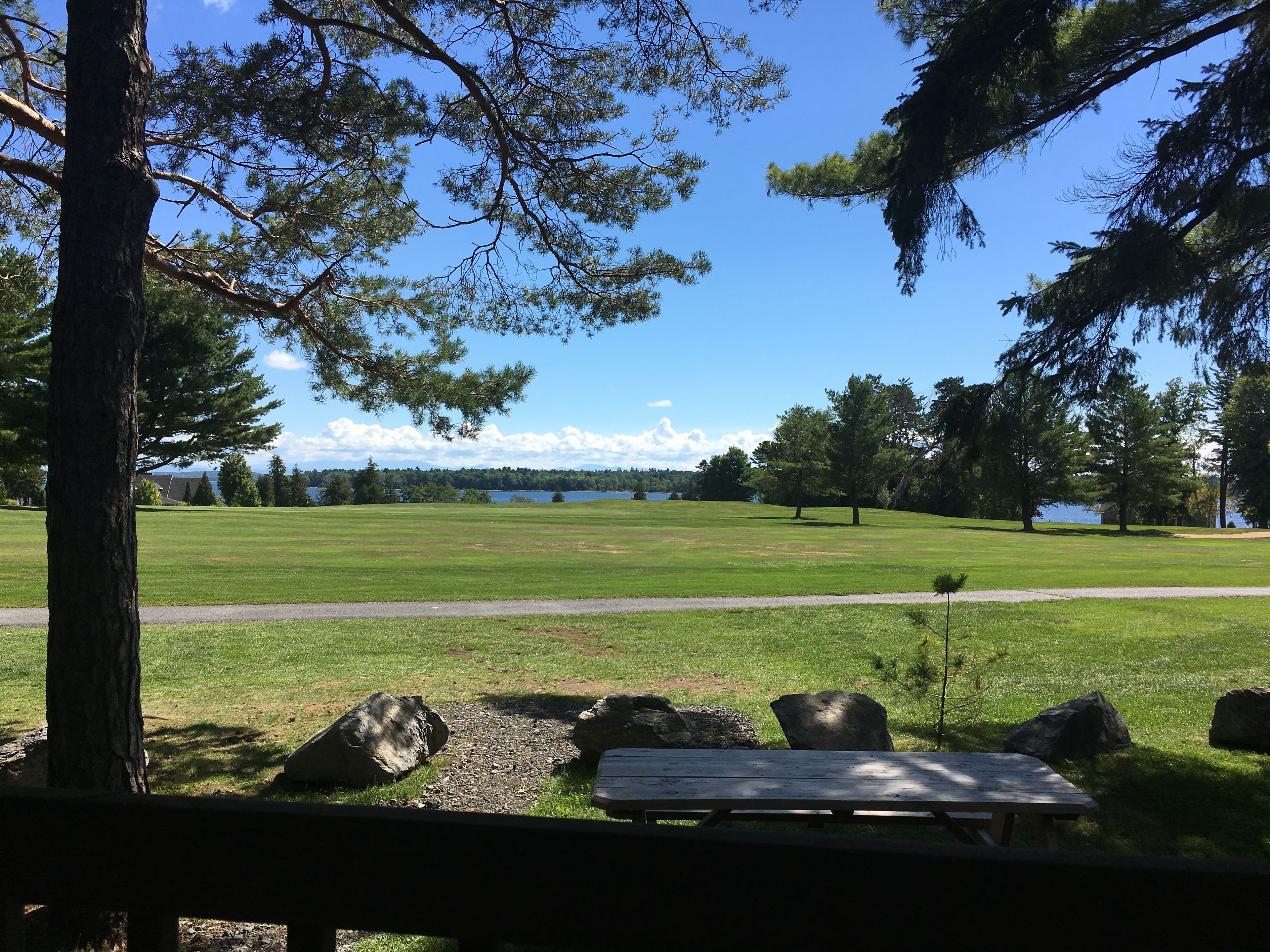 A picnic area with a bench and rocks, surrounded by trees and a view of a lake.