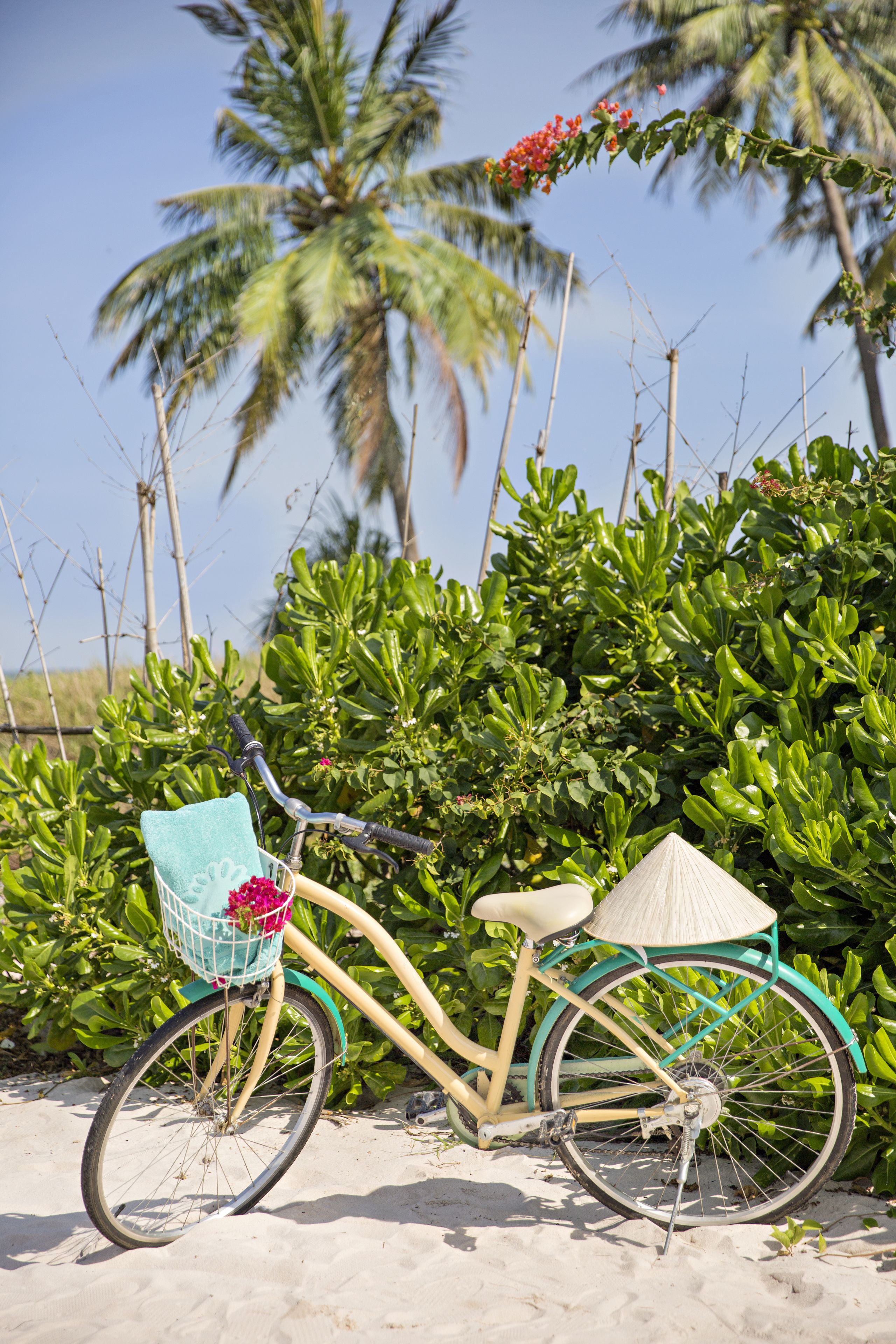 A bicycle with a basket and a seat, parked on a sandy surface with green foliage and palm trees in the background.