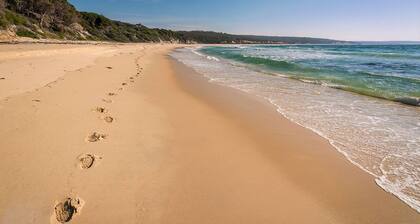 Catlins Newhaven Holiday Park