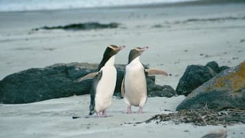 Sports facility