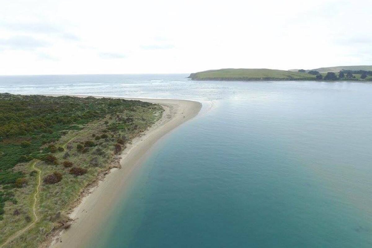 Un paysage côtier avec une plage de sable, une petite île et une vue dégagée sur l’océan.
