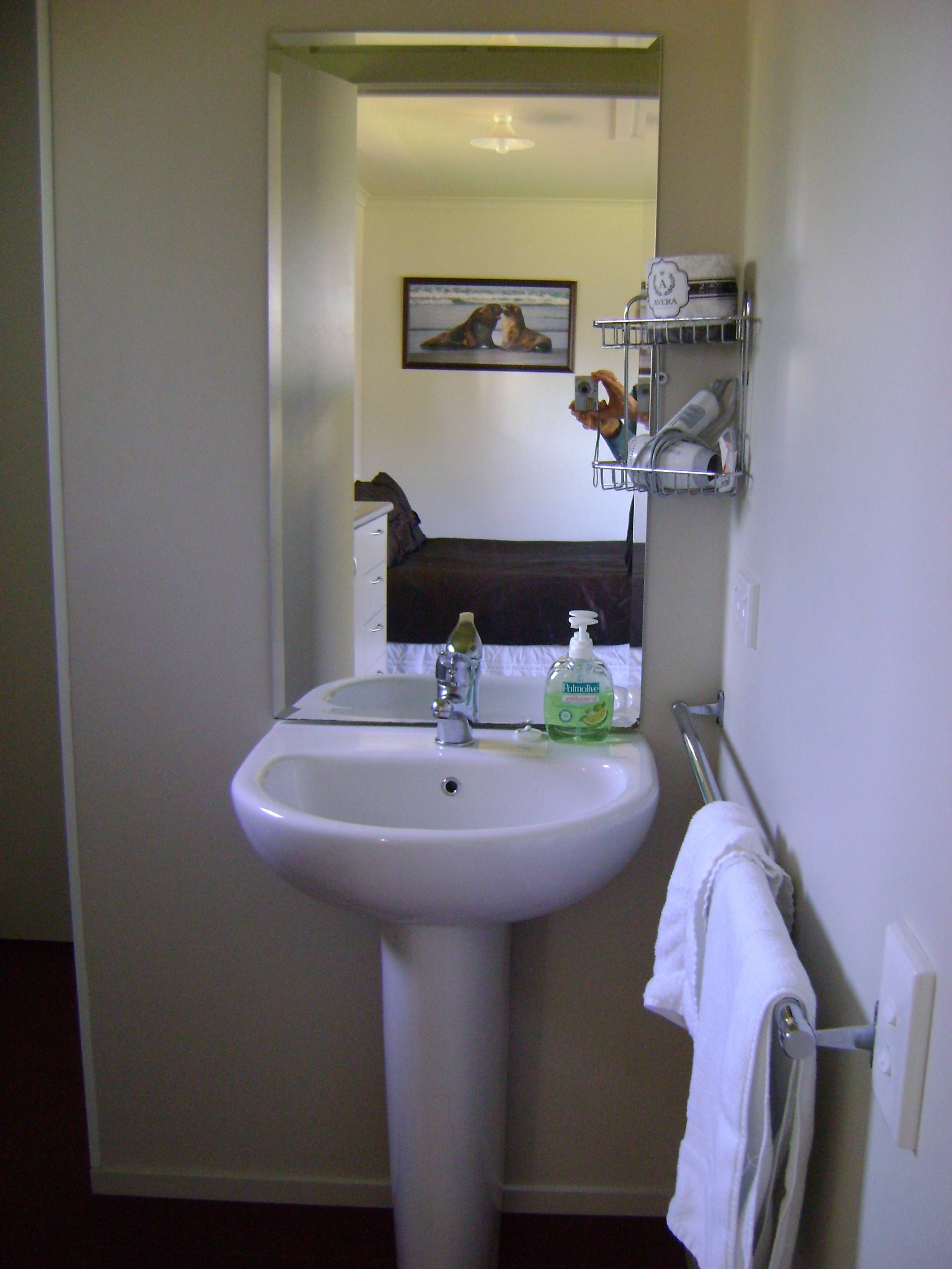 A bathroom with a white sink, a mirror, a framed picture on the wall, and a towel rack.
