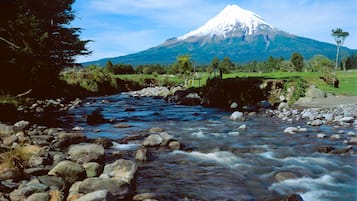 Pemandangan dari hartanah