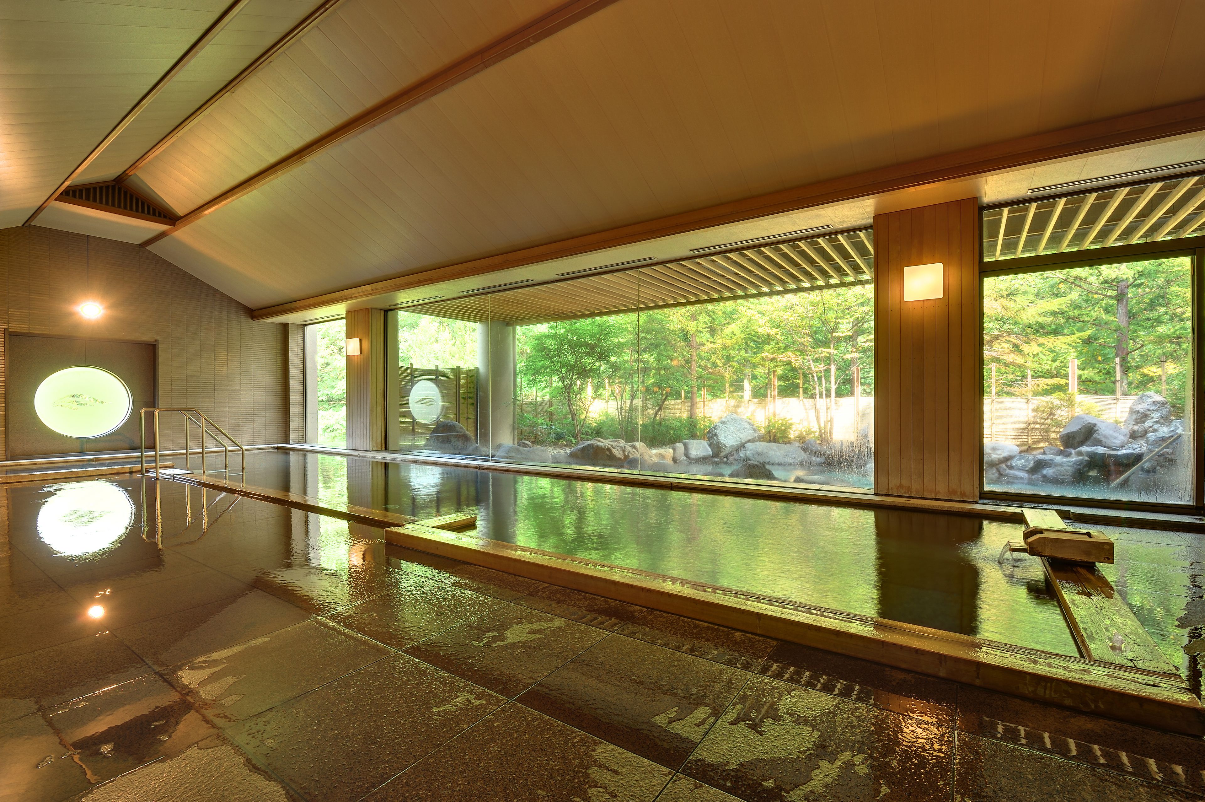 Una piscina interior moderna con vistas a un paisaje natural.